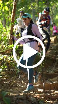 BIB:  <button type="button" onclick="openModal(27638500)" class="btn btn-primary btn-sm float-right" data-toggle="modal" data-target=".modal-high-quality">
                <i class="fa fa-download"></i> Download
                </button>